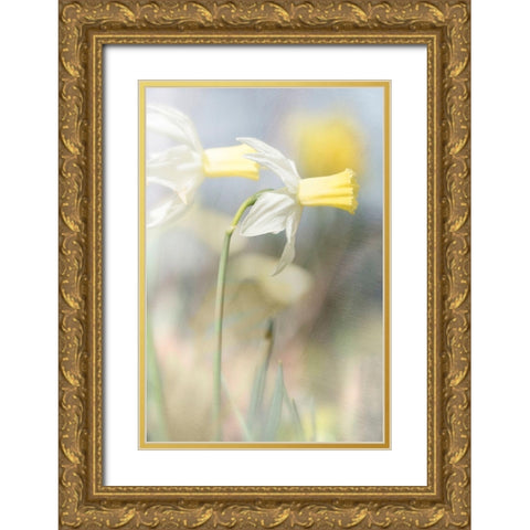 Jonquil Gold Ornate Wood Framed Art Print with Double Matting by Stalus, Judy