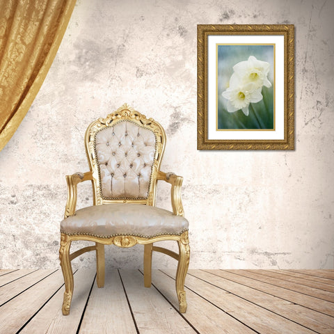 White Daffodils Gold Ornate Wood Framed Art Print with Double Matting by Stalus, Judy