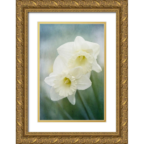 White Daffodils Gold Ornate Wood Framed Art Print with Double Matting by Stalus, Judy