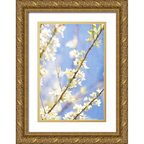 Blue Sky Gold Ornate Wood Framed Art Print with Double Matting by Stalus, Judy
