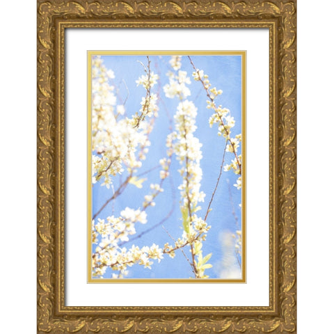 Blue Morning Gold Ornate Wood Framed Art Print with Double Matting by Stalus, Judy