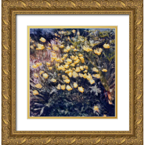 Buttercups Gold Ornate Wood Framed Art Print with Double Matting by Stalus, Judy