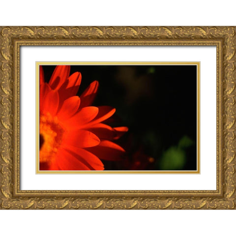 Red Sun Gold Ornate Wood Framed Art Print with Double Matting by Stalus, Judy