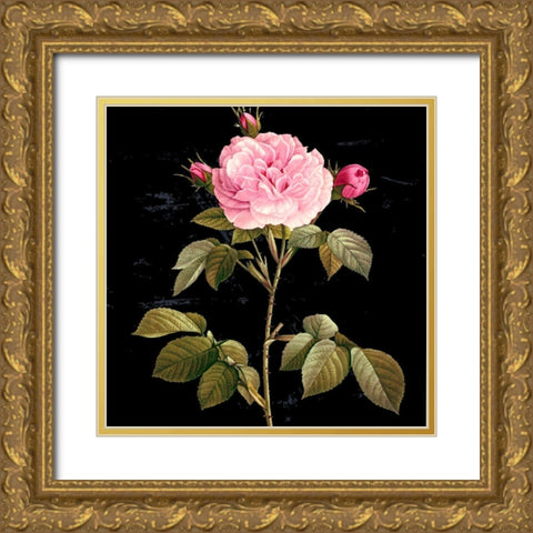In Bloom I Gold Ornate Wood Framed Art Print with Double Matting by Smith, Karen