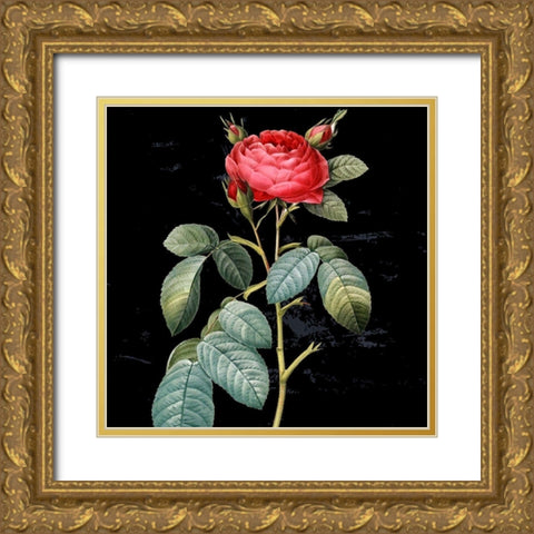 In Bloom II Gold Ornate Wood Framed Art Print with Double Matting by Smith, Karen