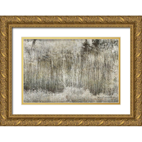 Aspen Willow leaves Abstract Gold Ornate Wood Framed Art Print with Double Matting by Vest, Christopher