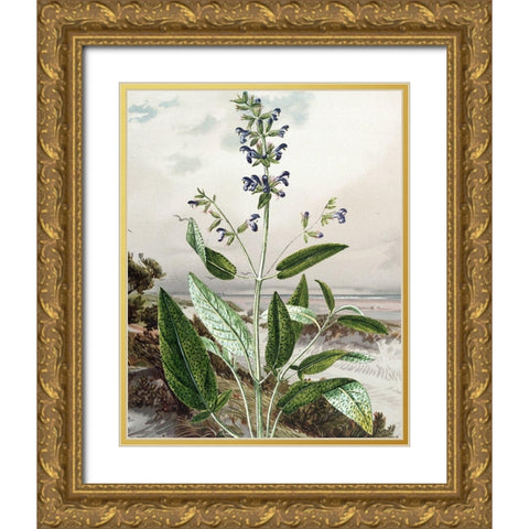 Wild Shoot IV Gold Ornate Wood Framed Art Print with Double Matting by Smith, Karen