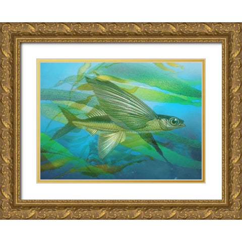 Seaweed Swimmer I Gold Ornate Wood Framed Art Print with Double Matting by Hunziker, Steve