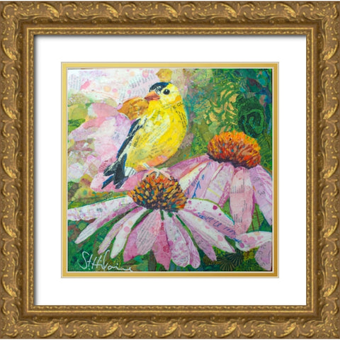Finch on Coneflowers Gold Ornate Wood Framed Art Print with Double Matting by St Hilaire, Elizabeth