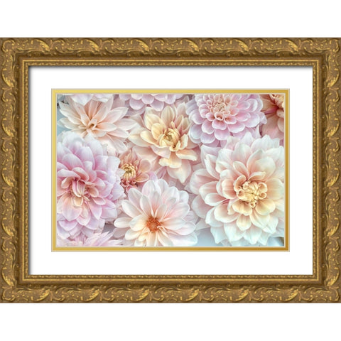 Dahlia Tapestry II Gold Ornate Wood Framed Art Print with Double Matting by Stalus, Judy