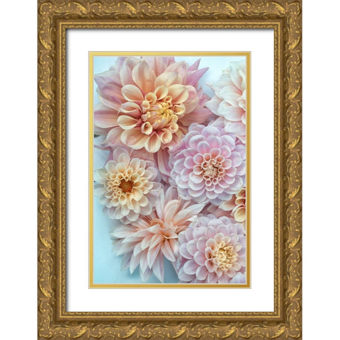Dahlia Tapestry III Gold Ornate Wood Framed Art Print with Double Matting by Stalus, Judy