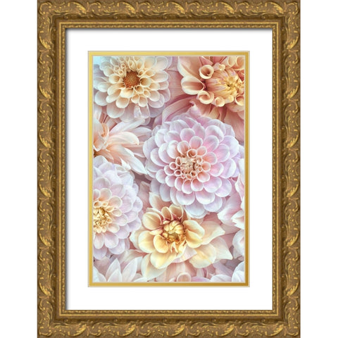Dahlia Tapestry IV Gold Ornate Wood Framed Art Print with Double Matting by Stalus, Judy