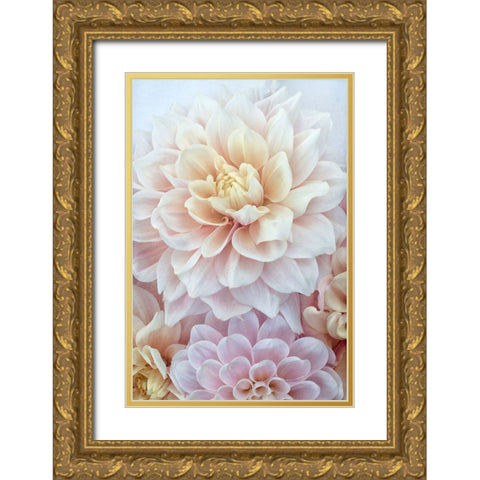Dahlia Dream Gold Ornate Wood Framed Art Print with Double Matting by Stalus, Judy