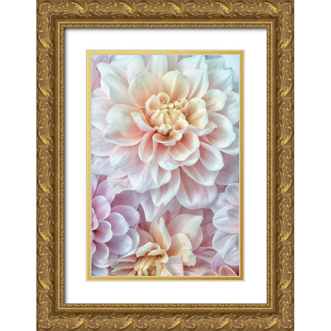 Pink and Gold Gold Ornate Wood Framed Art Print with Double Matting by Stalus, Judy