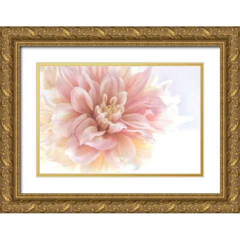 Sunburst Gold Ornate Wood Framed Art Print with Double Matting by Stalus, Judy