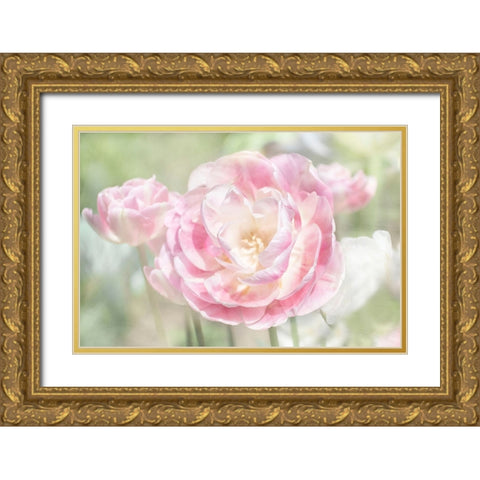 Tulips Gold Ornate Wood Framed Art Print with Double Matting by Stalus, Judy