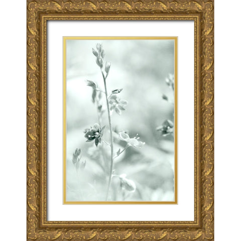 Silver Morning Gold Ornate Wood Framed Art Print with Double Matting by Stalus, Judy