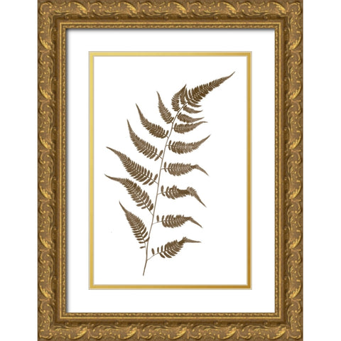 Fern Gold Ornate Wood Framed Art Print with Double Matting by Stalus, Judy