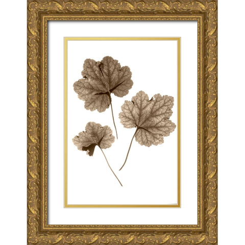 Heucher Gold Ornate Wood Framed Art Print with Double Matting by Stalus, Judy