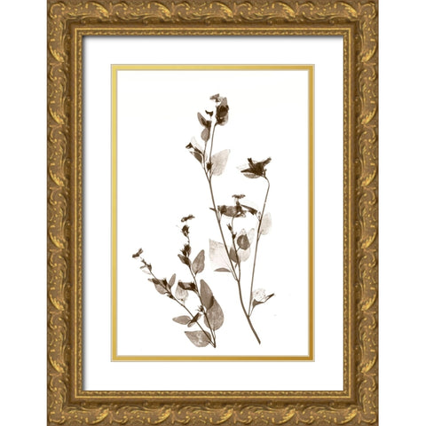 Wild Flower Gold Ornate Wood Framed Art Print with Double Matting by Stalus, Judy