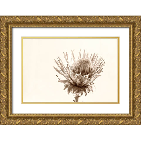 Protea Relic Gold Ornate Wood Framed Art Print with Double Matting by Stalus, Judy