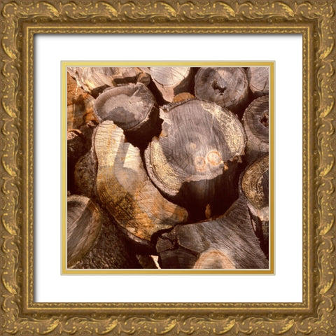 Wood Pile Gold Ornate Wood Framed Art Print with Double Matting by Stalus, Judy