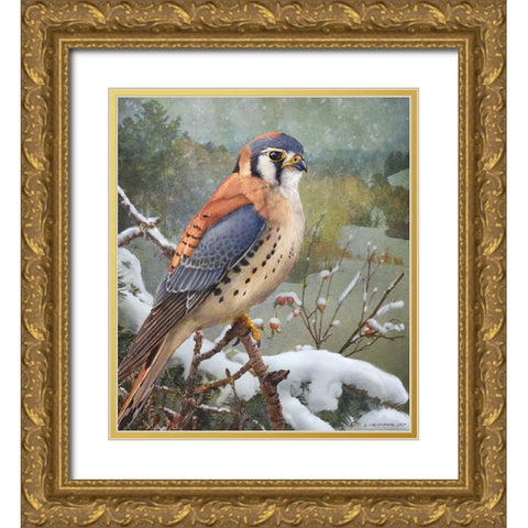 In Snowscape Kestrel Gold Ornate Wood Framed Art Print with Double Matting by Vest, Christopher