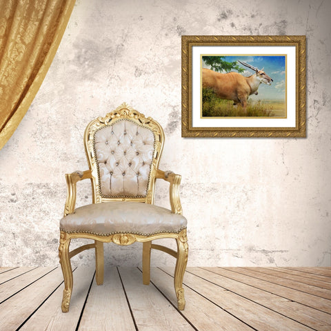 Stepping out female common eland Gold Ornate Wood Framed Art Print with Double Matting by Vest, Christopher
