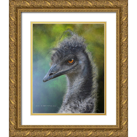 Emu Portrait, Dr. Suess Bird Gold Ornate Wood Framed Art Print with Double Matting by Vest, Christopher