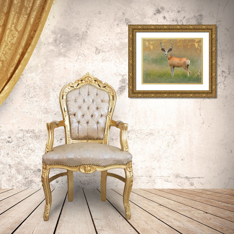 High Summer Velvet Buck Deer Gold Ornate Wood Framed Art Print with Double Matting by Vest, Christopher