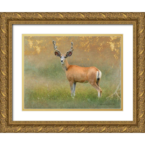 High Summer Velvet Buck Deer Gold Ornate Wood Framed Art Print with Double Matting by Vest, Christopher