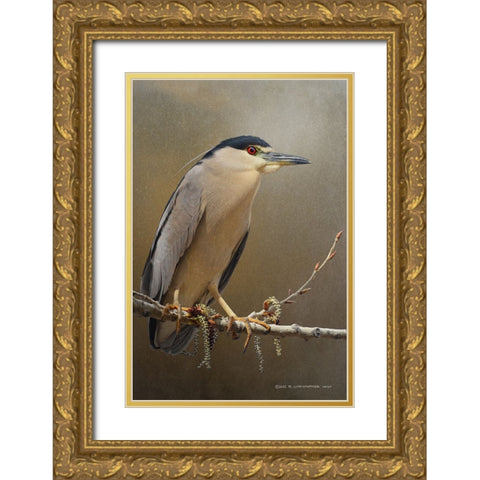 Night Heron in spring Gold Ornate Wood Framed Art Print with Double Matting by Vest, Christopher