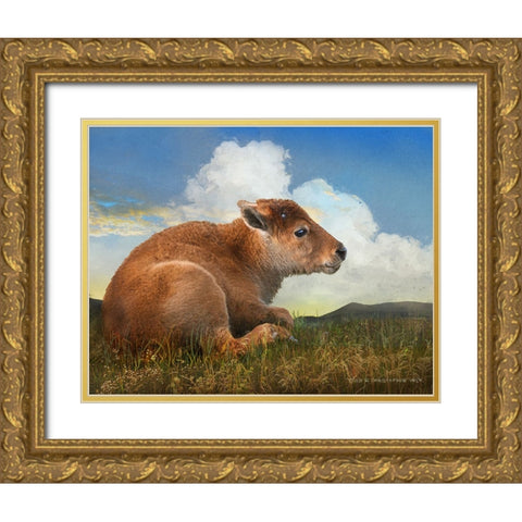 Bison Calf lying down Gold Ornate Wood Framed Art Print with Double Matting by Vest, Christopher