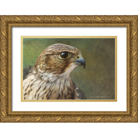 Merlin Portrait Gold Ornate Wood Framed Art Print with Double Matting by Vest, Christopher