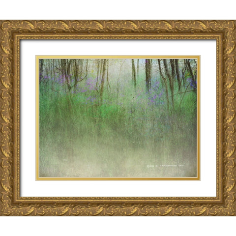 Glimpse of the Lake Gold Ornate Wood Framed Art Print with Double Matting by Vest, Christopher