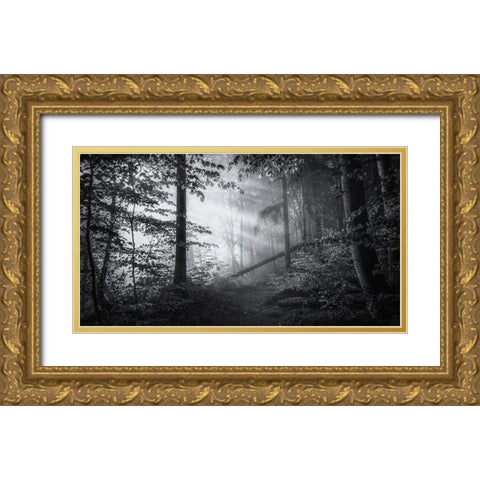 point of no return Gold Ornate Wood Framed Art Print with Double Matting by Maier, Norbert