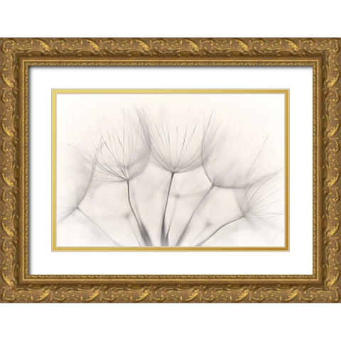 No title Gold Ornate Wood Framed Art Print with Double Matting by Arnholtz, Jakob