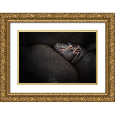 Dreamin Gold Ornate Wood Framed Art Print with Double Matting by Vales, Zdenek