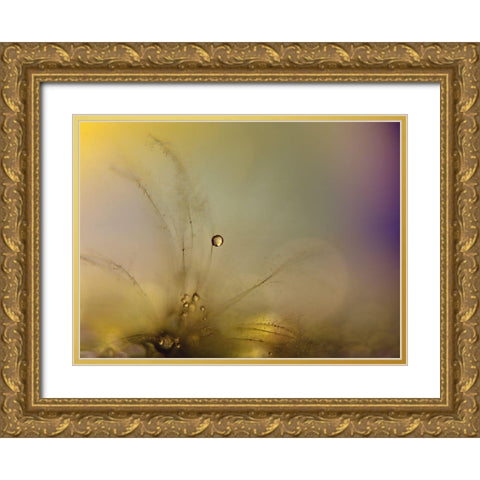 Feeling of a new day Gold Ornate Wood Framed Art Print with Double Matting by Westum, Heidi