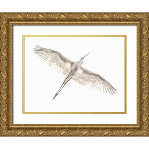 Fly Gold Ornate Wood Framed Art Print with Double Matting by Or, Keren