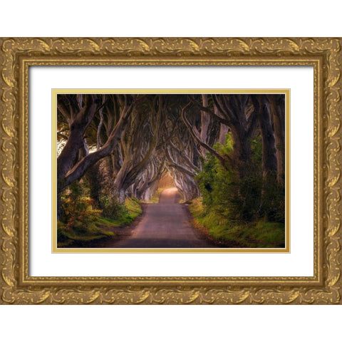 The Glowing Hedges Gold Ornate Wood Framed Art Print with Double Matting by Gastager, Daniel