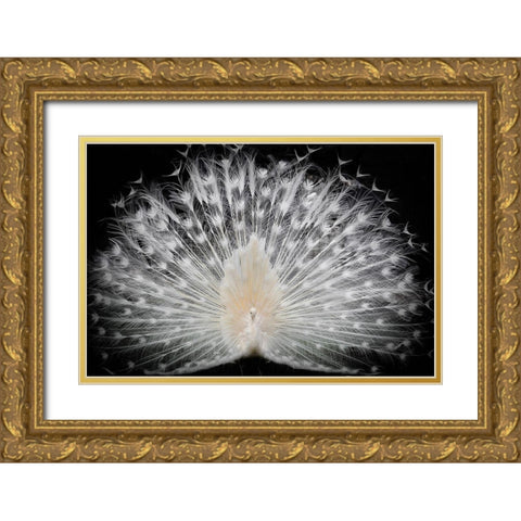 black and white Gold Ornate Wood Framed Art Print with Double Matting by Liddi, Pino