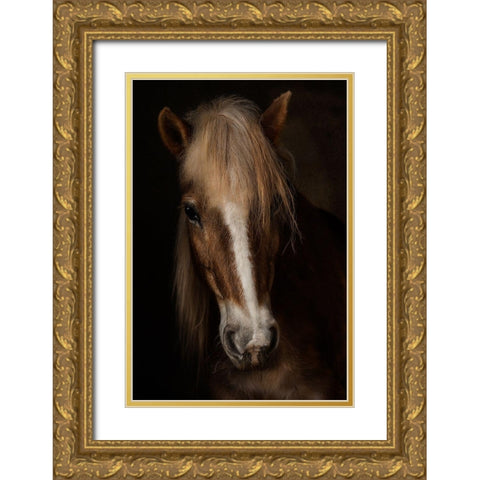 Sapience Gold Ornate Wood Framed Art Print with Double Matting by Benezech, Martine