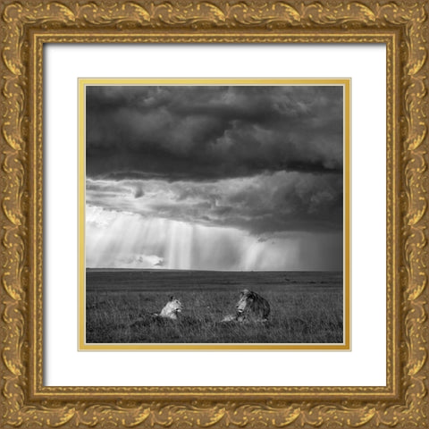 Valentine Gold Ornate Wood Framed Art Print with Double Matting by Fan, John