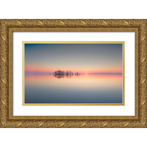 Lake Mattamuskeet Memory Gold Ornate Wood Framed Art Print with Double Matting by Yu, Liyun