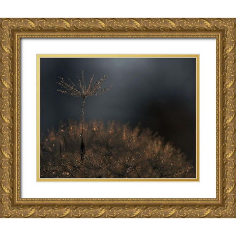 Standing toward the light Gold Ornate Wood Framed Art Print with Double Matting by Dufour, Thierry