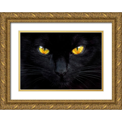 The hypnotist of the night Gold Ornate Wood Framed Art Print with Double Matting by Valverde, Ferdinando