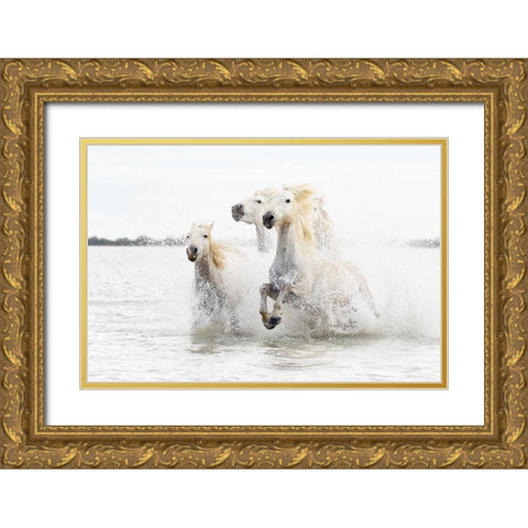 Horses  hight key Gold Ornate Wood Framed Art Print with Double Matting by De Simone, Ciro