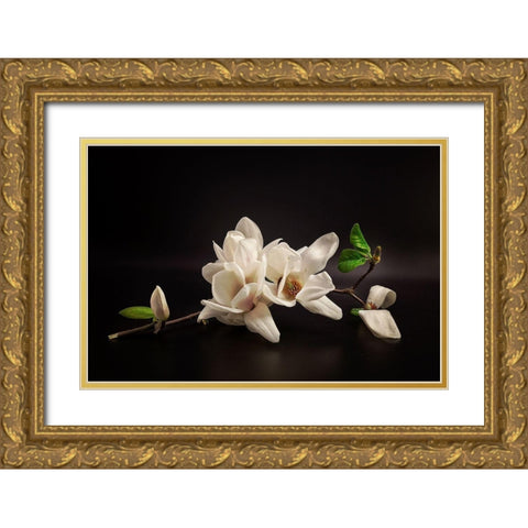Magnolia Gold Ornate Wood Framed Art Print with Double Matting by Tony08