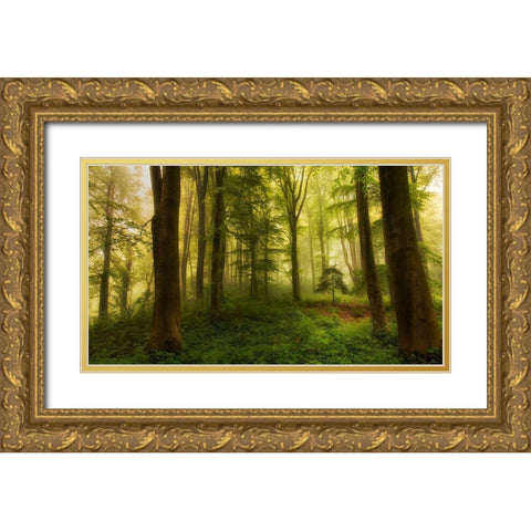 The little tree Gold Ornate Wood Framed Art Print with Double Matting by Londal, Leif